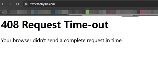 SBI official website is in the 408 request timeout failure