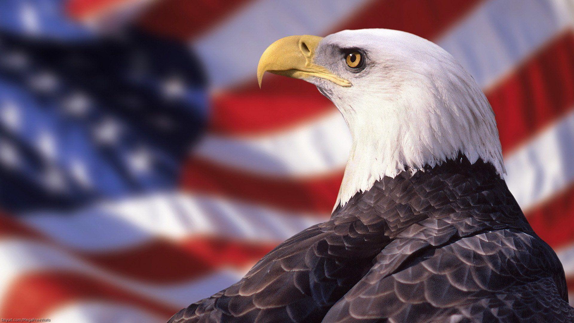 the bald eagle symbolizes the freedom, strength and independent spirit of the United States