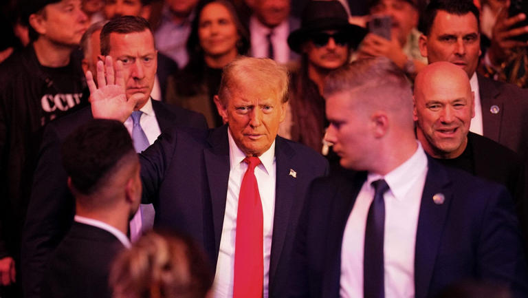 Sean stands behind Trump at a campaign rally at Madison Square Garden in New York City.