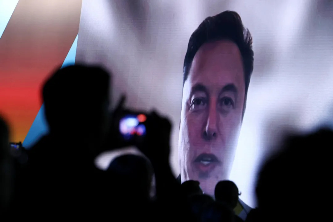 Musk delivered a speech to the AfD rally via live video broadcast