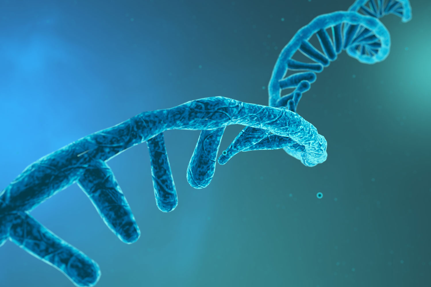 DNA synthesis