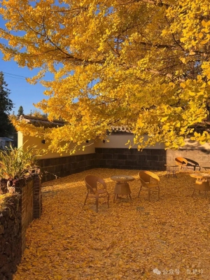 Tengchong,hot spring,retirement